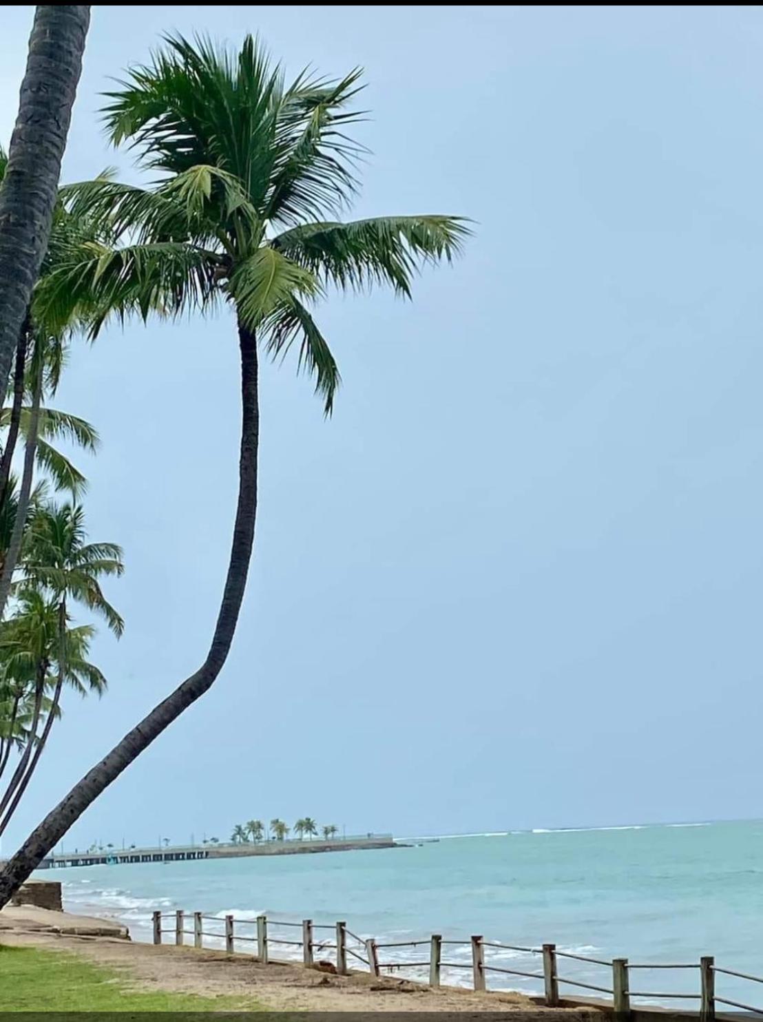 Maceió Lindo Apartamento De Frente Para A Praia De Pajucara מראה חיצוני תמונה
